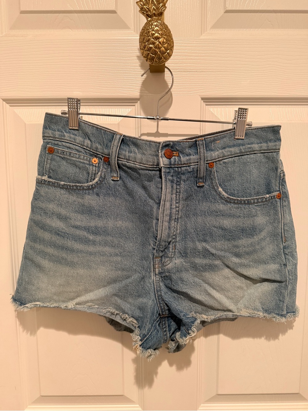 Madewell Denim Shorts